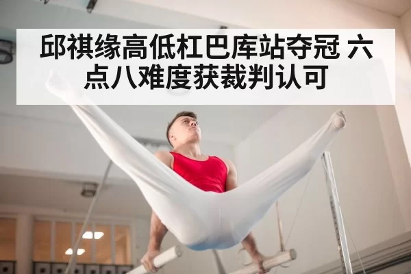 Chinese gymnast competition