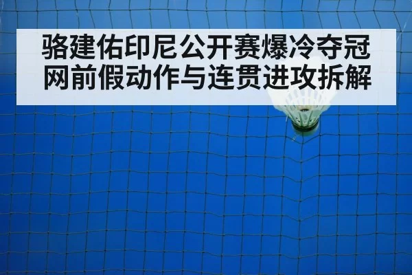 badminton net shot