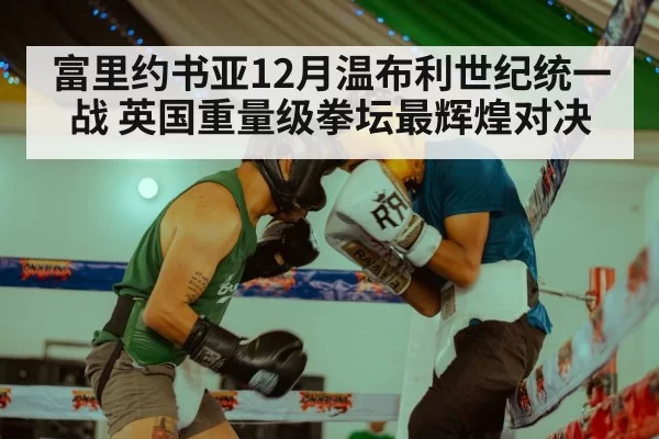 富里约书亚12月温布利世纪统一战 英国重量级拳坛最辉煌对决